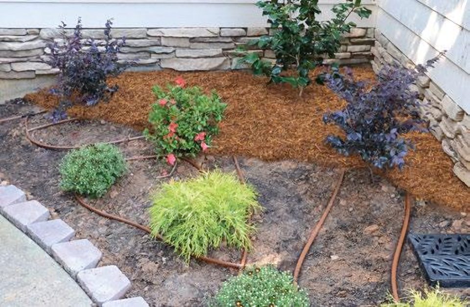 Drip irrigation line in a garden bed